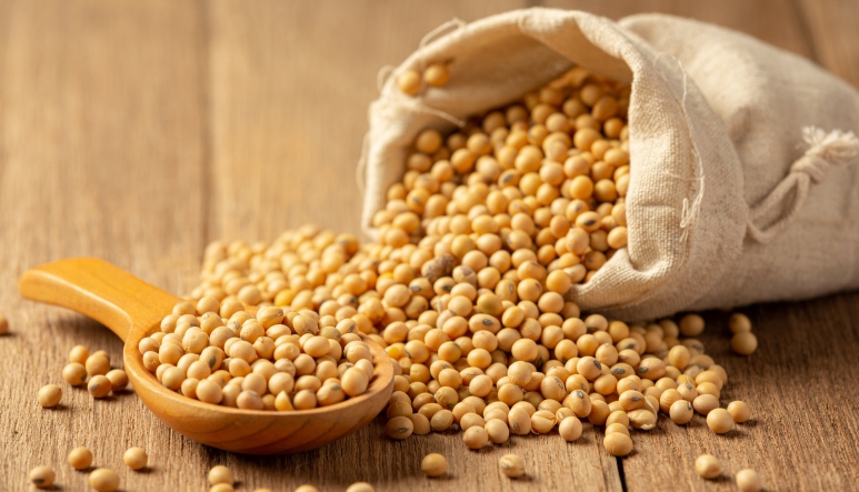 Soybeans